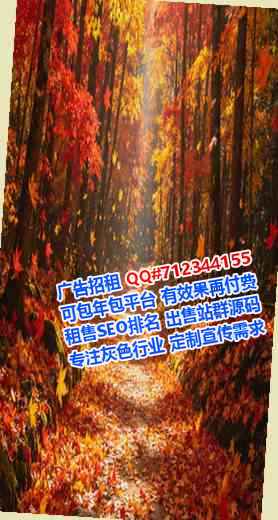宏伟孕母风电工作室